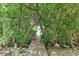 Wood pathway through mangrove trees leading to boat dock along the water at 136 Crescent Dr, Anna Maria, FL 34216