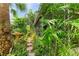 A landscaped path is shown with lush greenery and stone pavers leading around the side of the home at 136 Crescent Dr, Anna Maria, FL 34216