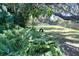 Lush backyard featuring mature trees, ferns, and a tire swing, offering a peaceful outdoor space at 7607 9Th Avenue Nw Dr, Bradenton, FL 34209