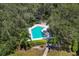 Community pool nestled in a wooded area with palm trees at 6935 Arbor Oaks Cir, Bradenton, FL 34209
