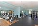 Fitness center with ellipticals and other exercise equipment at 7546 Divot Loop, Lakewood Ranch, FL 34202