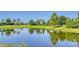 Serene lake view with lush landscaping at 7546 Divot Loop, Lakewood Ranch, FL 34202
