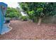 Landscaped backyard with mature trees and a stone border at 6401 36Th W Ave, Bradenton, FL 34209