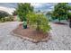 Landscaped front yard with mature trees and decorative stone at 6401 36Th W Ave, Bradenton, FL 34209