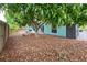 Peaceful backyard with a mango tree and woodchip groundcover at 6401 36Th W Ave, Bradenton, FL 34209
