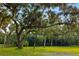 Open pasture with lush green grass and oak trees at 7091 Saddle Creek Ln, Sarasota, FL 34241