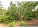 Lush landscaping surrounds the property, offering a private oasis at 1700 Glenhouse Dr # 406, Sarasota, FL 34231