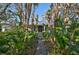 Charming house with lush tropical landscaping and a brick pathway at 1663 4Th St, Sarasota, FL 34236