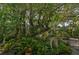 Relaxing backyard with a variety of tropical plants and serene statues at 1663 4Th St, Sarasota, FL 34236