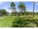 Landscaped backyard with mature trees and grassy area at 11358 Lomita Wren Rd, Weeki Wachee, FL 34614