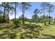 Spacious backyard with lush landscaping and tall pine trees at 11358 Lomita Wren Rd, Weeki Wachee, FL 34614