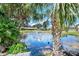 Serene pond with fountain and ducks at 6050 28Th W St # 14B, Bradenton, FL 34207