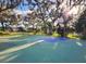 Outdoor basketball court with a blue playing area at 3832 Shimmering Oaks Dr, Parrish, FL 34219