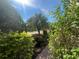 Landscaped front yard with lush greenery and a palm tree at 7818 33Rd E St, Sarasota, FL 34243