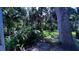 Lush backyard with tropical foliage and large oak trees at 5071 Village Gardens Dr # 5, Sarasota, FL 34234