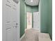 Green hallway with carpet, doors to bedrooms and a bathroom at 14607 Swiss Bridge Dr, Lithia, FL 33547