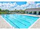 Lap pool with plenty of lanes for swimming at 14607 Swiss Bridge Dr, Lithia, FL 33547