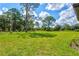Large backyard with mature trees and grass at 14607 Swiss Bridge Dr, Lithia, FL 33547