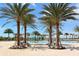 Relaxing resort-style pool with palm trees and lounge chairs at 14717 Leopard Creek Pl, Lakewood Ranch, FL 34202
