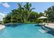 Stunning pool with palm trees and tranquil water at 501 Harbor Point Rd, Longboat Key, FL 34228