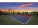 Several pickleball courts are situated in front of a fiery sunset, with palm trees in the background at 16215 Tradewind Ter, Lakewood Ranch, FL 34211