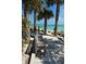 Wooden walkway leads to a tranquil beach with palm trees and a bench at 9612 Valencia Cv, Bradenton, FL 34210