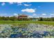 House with a pond and lush vegetation in front at 7301 221St E St, Bradenton, FL 34211