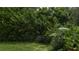 Lush backyard with dense vegetation and purple flowers at 8454 Imperial Cir, Palmetto, FL 34221