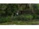 Landscaped backyard with birdhouses and purple flowers at 8454 Imperial Cir, Palmetto, FL 34221