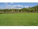 Large grassy area perfect for recreation and relaxation at 3717 Savanna Palms Ct, Lakewood Ranch, FL 34211