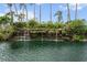 Beautiful community pond with waterfall and tropical plants, creating a serene and relaxing environment at 5855 Midnight Pass Rd # 319, Sarasota, FL 34242
