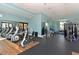 Well-equipped fitness center with various exercise machines at 14636 Newtonmore Ln, Lakewood Ranch, FL 34202