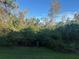 Private backyard view with lush trees and greenery at 5146 Northridge Rd # 209, Sarasota, FL 34238