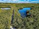 Aerial view of nature trail winding through mangroves at 1648 Starling Dr # 202, Sarasota, FL 34231