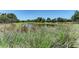 Scenic pond view with lush landscaping at 12715 Lake Silver Ave, Bradenton, FL 34211