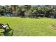 Calm canal view, lush green grass, and white birds at 1320 W Corktree Cir, Port Charlotte, FL 33952