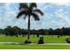 Golf course with putting green and palm trees at 393 N Point Rd # 801, Osprey, FL 34229