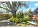 Landscaped backyard with mature trees and tropical plants at 610 Pine Ranch East Rd, Osprey, FL 34229