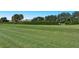 Expansive green lawn with neatly trimmed hedges at 3924 Alamanda Dr, Sarasota, FL 34238