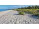 Picturesque beach with native grasses adding natural beauty, offering a serene coastal escape at 14041 Bellagio Way # 214, Osprey, FL 34229