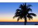Silhouette of a palm tree against a vibrant sunset over the ocean at 5941 Gulf Of Mexico Dr, Longboat Key, FL 34228