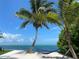 Relaxing hammock nestled on a pristine beach with palm trees and ocean views at 5941 Gulf Of Mexico Dr, Longboat Key, FL 34228