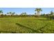Spacious dog park with lush green grass, palm trees, and secure fencing for your furry friends to enjoy at 7661 Moonbeam Ave, Sarasota, FL 34241