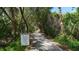 Nature trail through lush mangroves with informational signage at 1713 Starling Dr # 1713, Sarasota, FL 34231