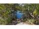 Private water access through mangrove trees at 1713 Starling Dr # 1713, Sarasota, FL 34231