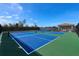 Two blue pickleball courts with green surrounding at 17825 Gawthrop Dr # 103, Bradenton, FL 34211