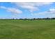 Golf driving range with open space at 17825 Gawthrop Dr # 103, Bradenton, FL 34211