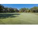 Large putting green surrounded by trees, perfect for golfers of all skill levels at 8223 Regents Ct, University Park, FL 34201