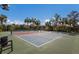 Two lighted pickleball courts in a community setting at 8720 Bellussi Dr, Sarasota, FL 34238