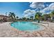 Community pool with lounge chairs and palm trees at 115 Winding River Trl, Bradenton, FL 34212